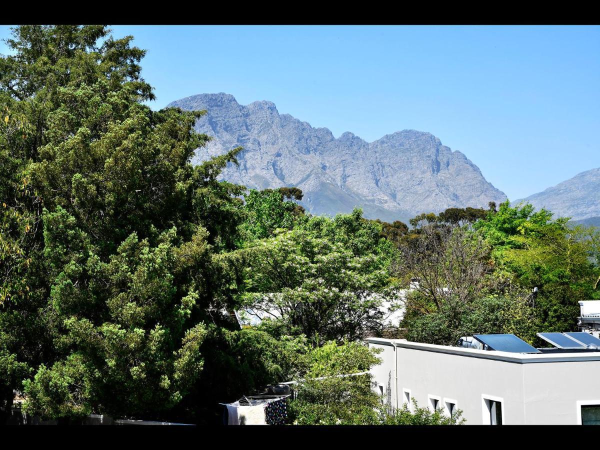 Small Wonder Franschhoek Exteriör bild
